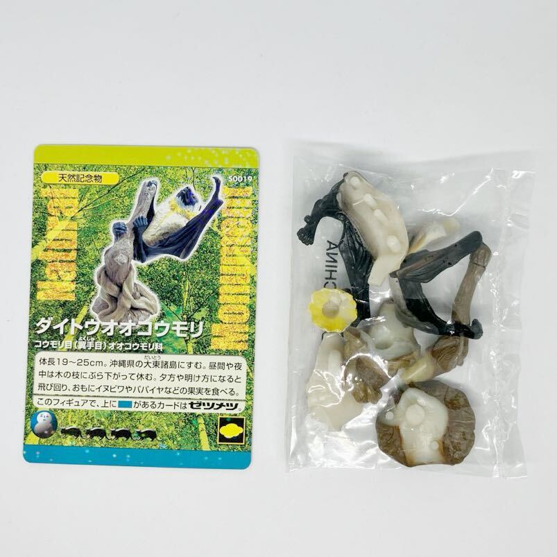 アーケロン / ガレージキット (えんどるふぃん・ARCHELON・徳川 アーケロン / ガレージキット (えんどるふぃん・ARCHELON・徳川