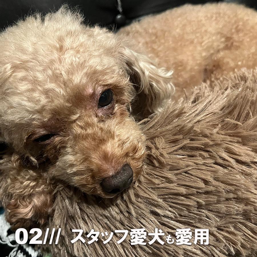 ペット用ベッド 50cm 【ネイビー】 可愛い マット クッション 貓ベッド 犬ベッド ペットハウス 肌觸り 水洗いOK LB-110 區(qū)分60S(B)