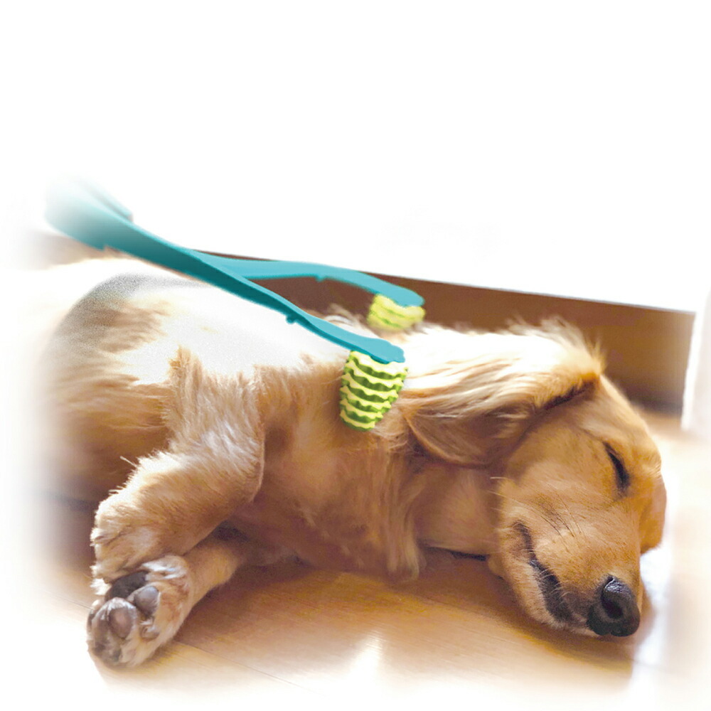 ドギーマン 全身マッサー術 わんこの癒し ペット用品_画像5