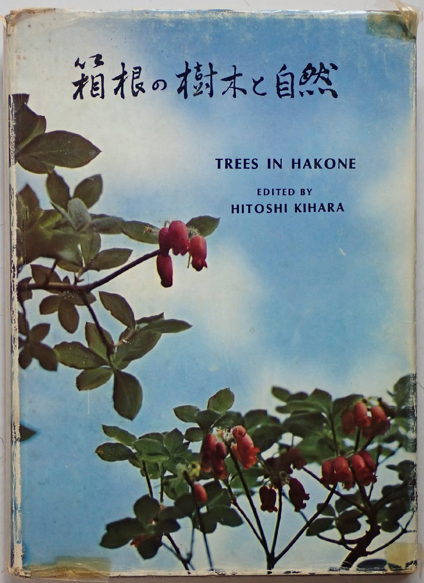 箱根の樹木と自然