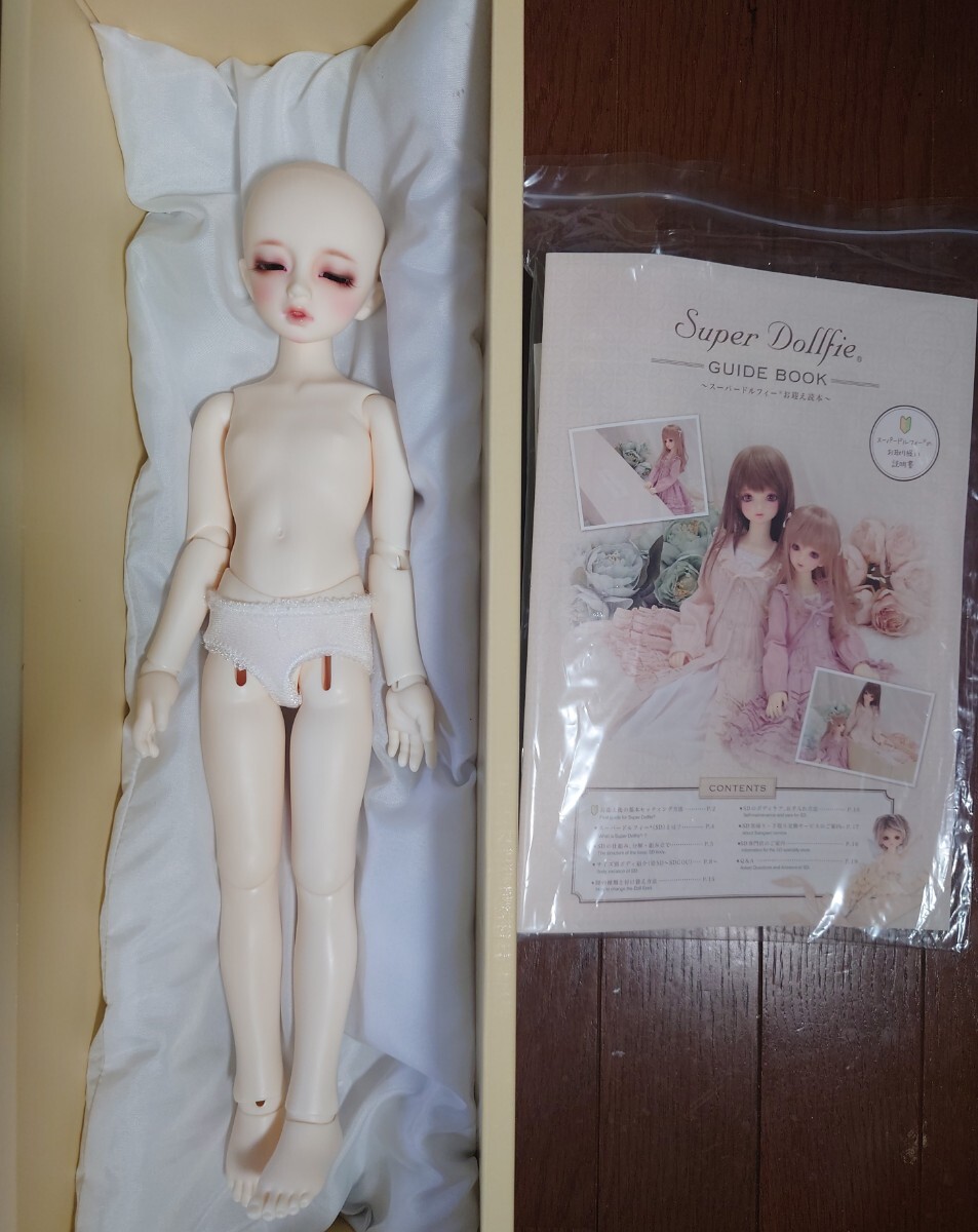 Yahoo!オークション - SDM-F-42 女の子 コーディネートモデル Yahoo!オークション - SDM-F-42 女の子 コーディネートモデル