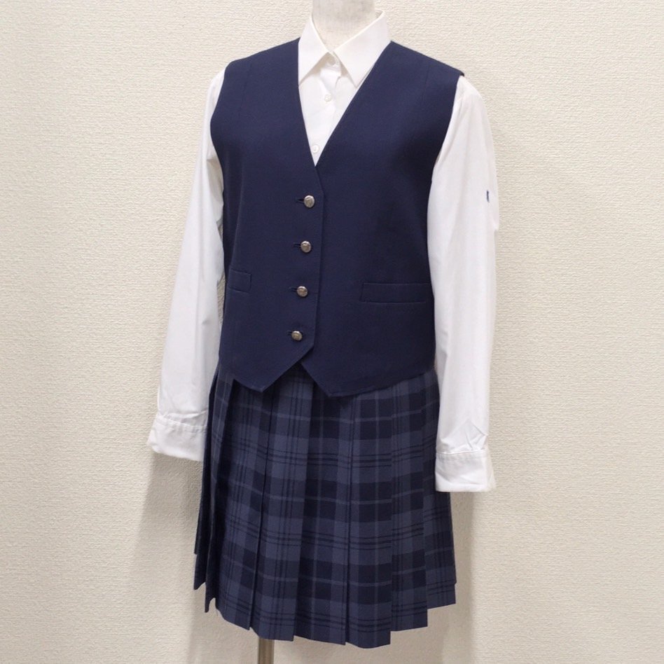 nakakyoshin出品○真三国無双5 シン姫 ○コスプレ衣装 ウィッグ