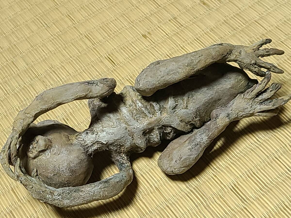 一点物 河童の木乃伊 河童 ミイラ 呪物 妖怪 UMA リアル 芸術 一点物 河童の木乃伊 河童 ミイラ 呪物 妖怪 UMA リアル 芸術