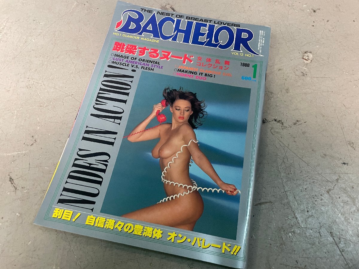 レトロ/雑誌/人妻/カルチャーマガジン/SM/ハードコア/ロリータ/写真集/イラスト/[305]