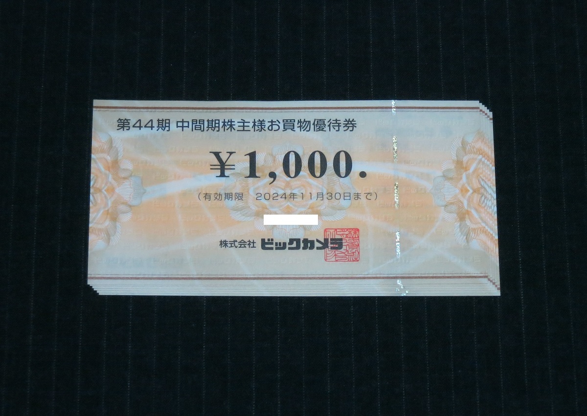 【送料無料】ビックカメラ 株主優待券（お買物優待券）6000円分 2024年11月30日まで ※ゆうパケットポスト追跡あり