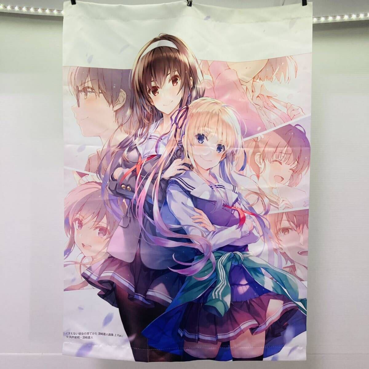 大学 割引 タペストリー 冴えない彼女の育てかた 冴えカノ 詩羽&英梨々 B2 その他