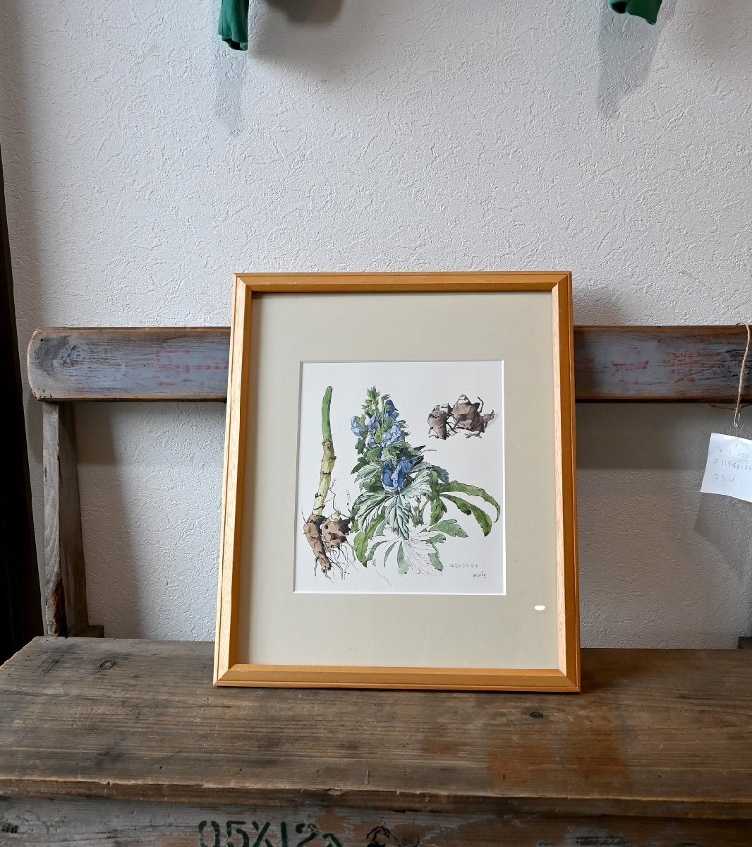 ○小磯良平　水彩畫のレプリカ　印刷畫　「はなとりかぶと」　木制額　植物の絵　博物學(xué)　モダン　アート　古道具のgplus広島 2409i