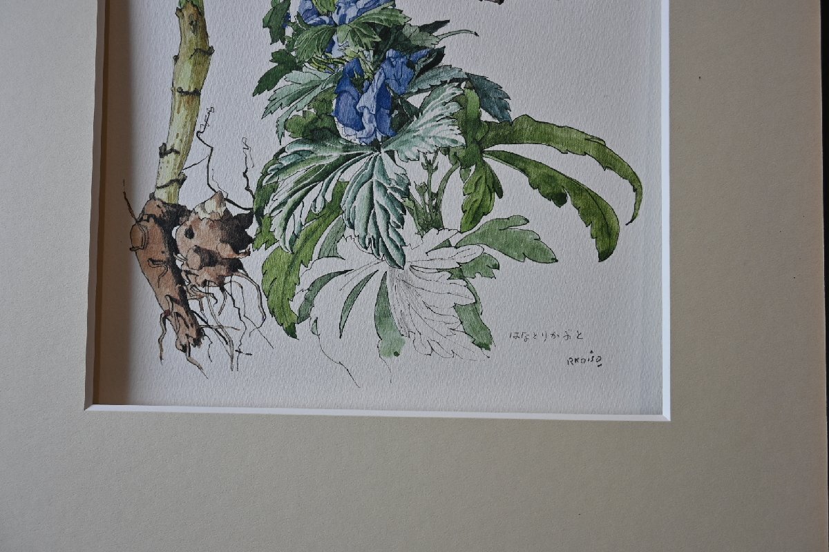 ○小磯良平　水彩畫のレプリカ　印刷畫　「はなとりかぶと」　木制額　植物の絵　博物學(xué)　モダン　アート　古道具のgplus広島 2409i