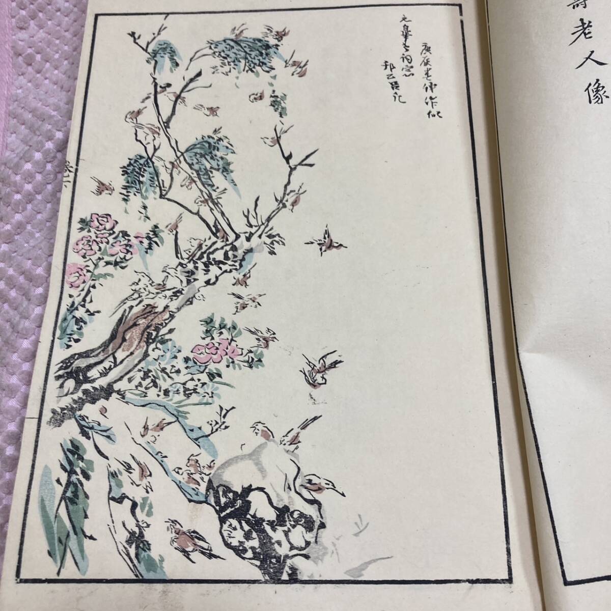 狩野探幽著 狩野應信編纂 『探幽縮図 聚珍画譜』 下巻 明治27年 狩野探幽著 狩野應信編纂 『探幽縮図 聚珍画譜』 下巻 明治27年