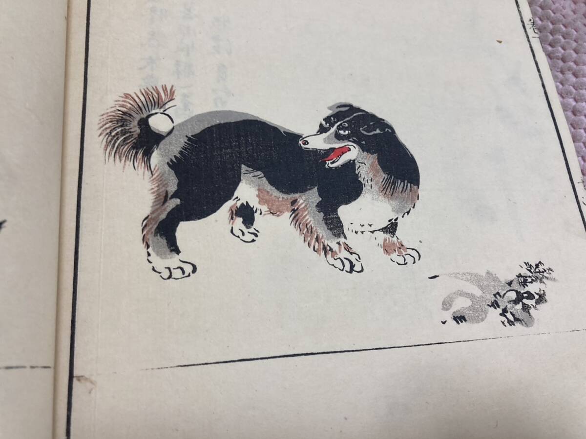 狩野探幽著 狩野應信編纂 『探幽縮図 聚珍画譜』 下巻 明治27年