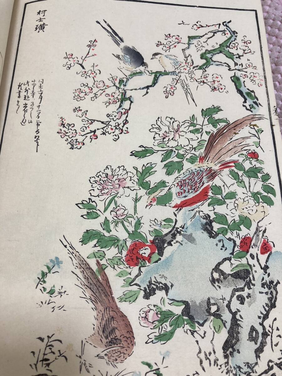 狩野探幽著 狩野應信編纂 『探幽縮図 聚珍画譜』 下巻 明治27年 狩野探幽著 狩野應信編纂 『探幽縮図 聚珍画譜』 下巻 明治27年