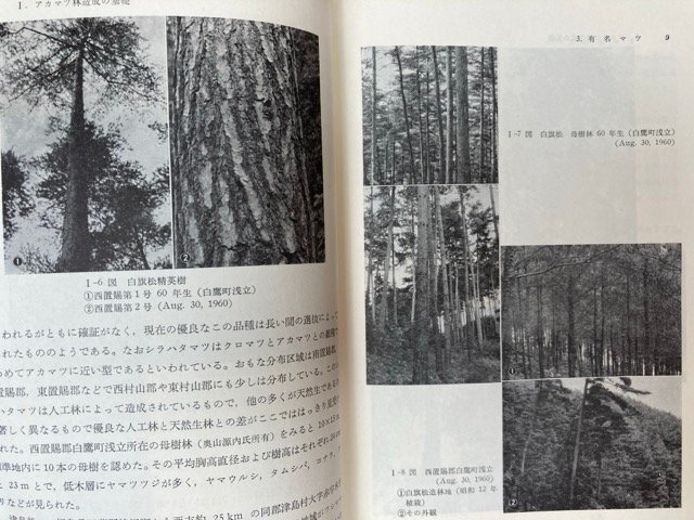 超特価激安 アカマツ林の造成 基礎と実際 1963年 四出井綱英 YAH420 自然科学と 農学