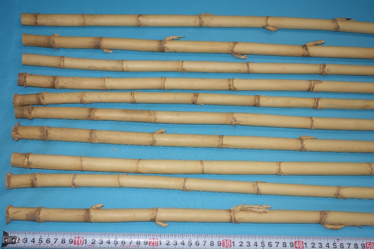 小節矢竹素材 火入れ芽取り無し20本 bm10(ヘラブナ竿)|売買 小節矢竹素材 火入れ芽取り無し20本 bm10(ヘラブナ竿)|売買