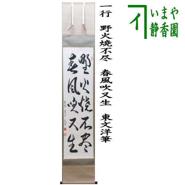 茶道具 掛軸 掛け軸 一行 野火焼不尽 春風吹又生 東文洋筆 茶道 茶道具 掛軸 掛け軸 一行 野火焼不尽 春風吹又生 東文洋筆 茶道