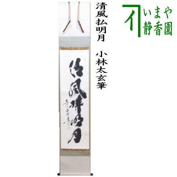 茶道具 掛軸 掛け軸 一行 清風払明月 小林太玄筆 茶道