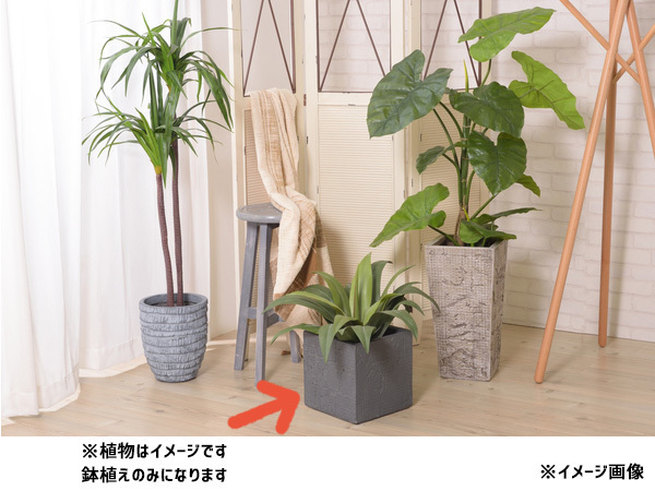 東谷 グリーンベース 四角 植木鉢 黒 6号用 おしゃれ モダン シンプル グリーンポット GRNB-208 あずまや メーカー直送 送料無料_画像3