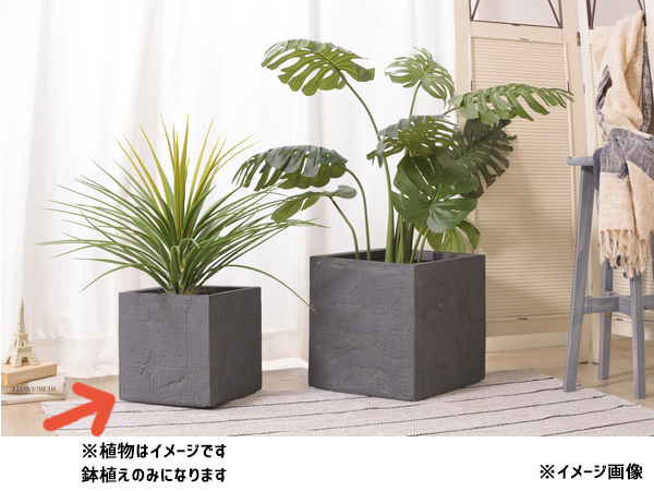 東谷 グリーンベース 四角 植木鉢 黒 6号用 おしゃれ モダン シンプル グリーンポット GRNB-208 あずまや メーカー直送 送料無料_画像4