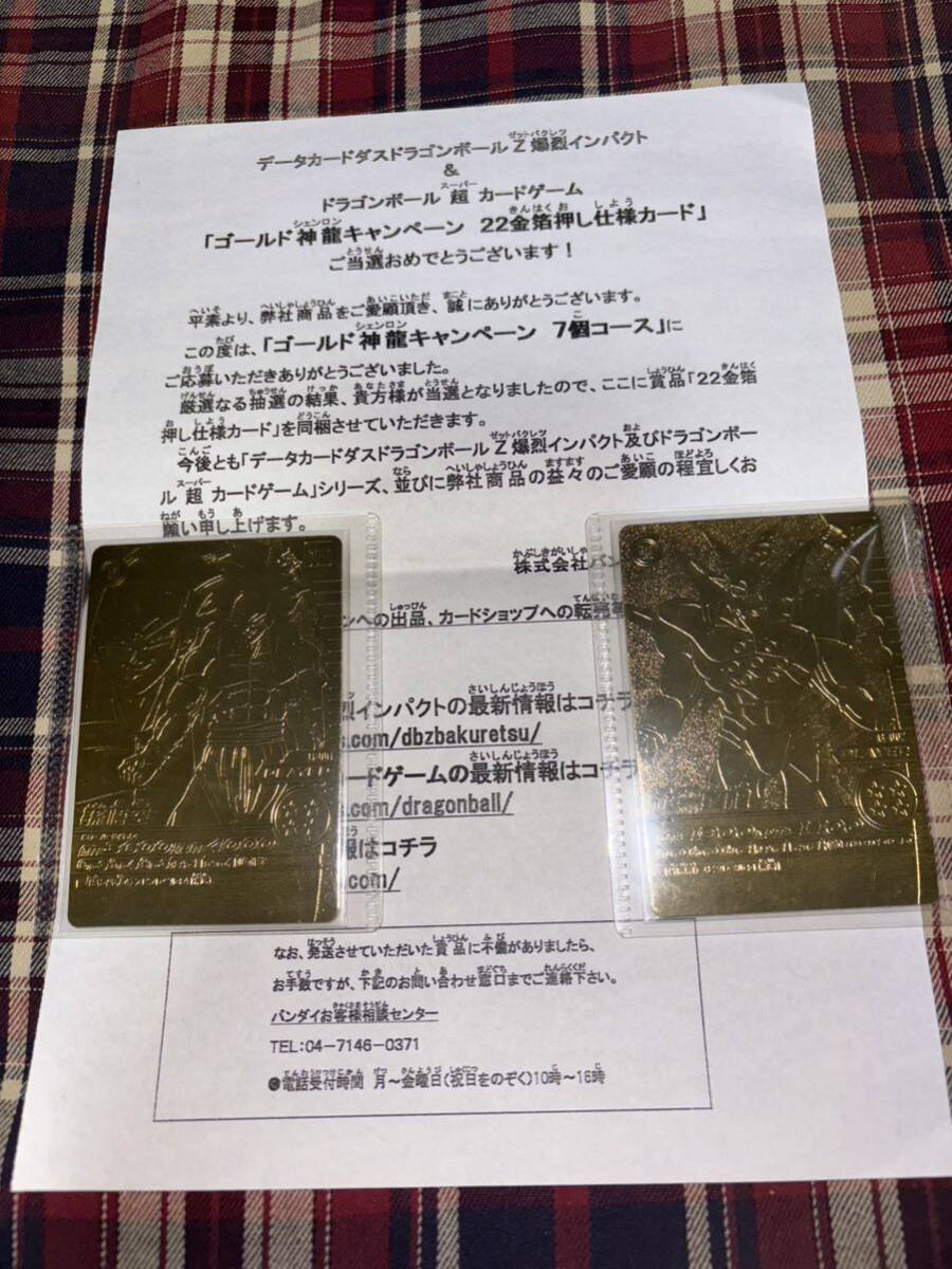 ドラゴンボールデータカードダスゴールド神龍キャンペーン当選品 ドラゴンボールデータカードダスゴールド神龍キャンペーン当選品