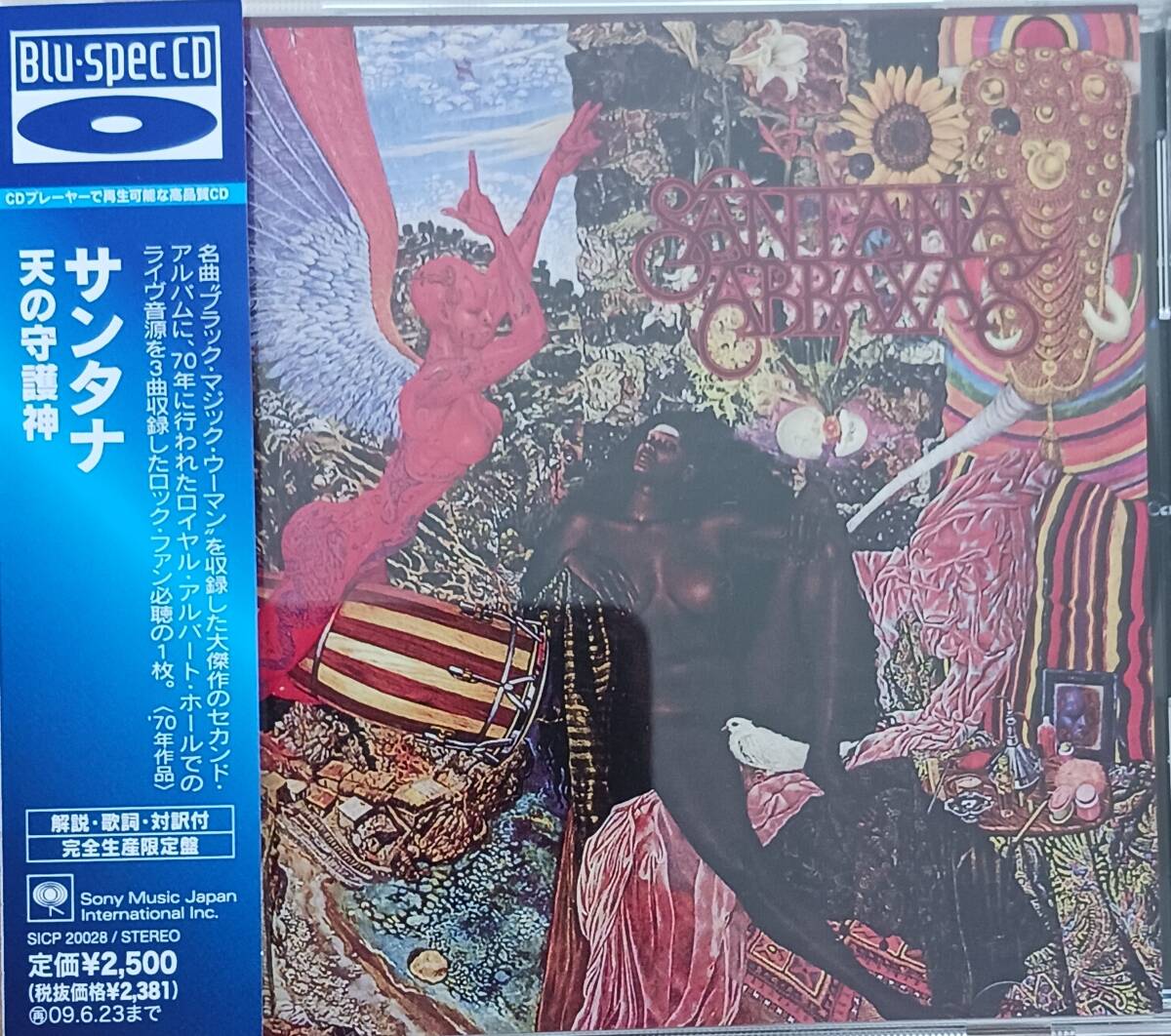 天の守護神/サンタナ