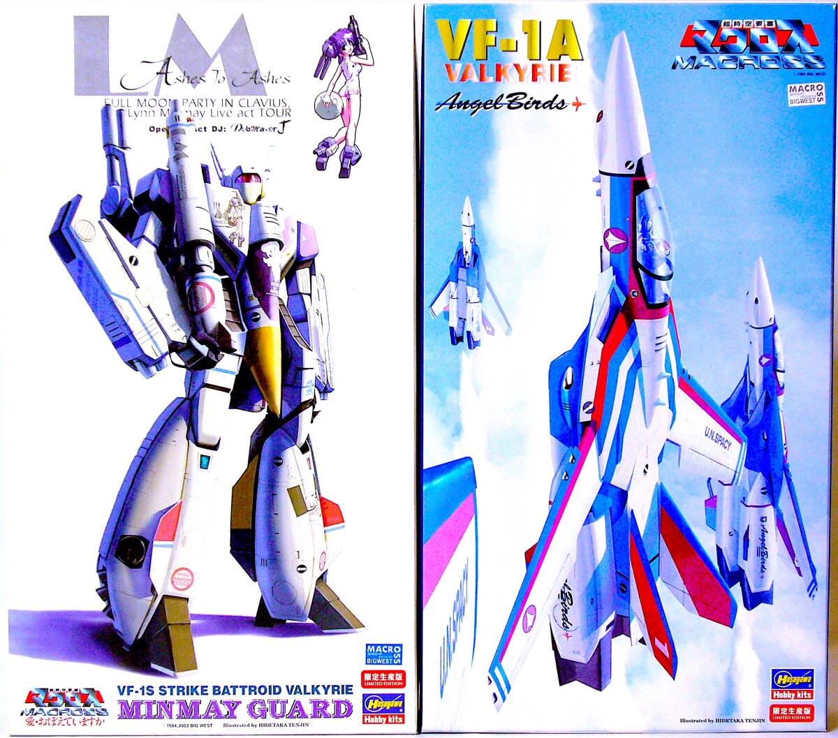 ハセガワ 1/72 VF-1Sストライクバトロイドバルキリー ミンメイガード & VF-1A エンジェルバーズ マクロス プラモデル 2個まとめ売り 未使用