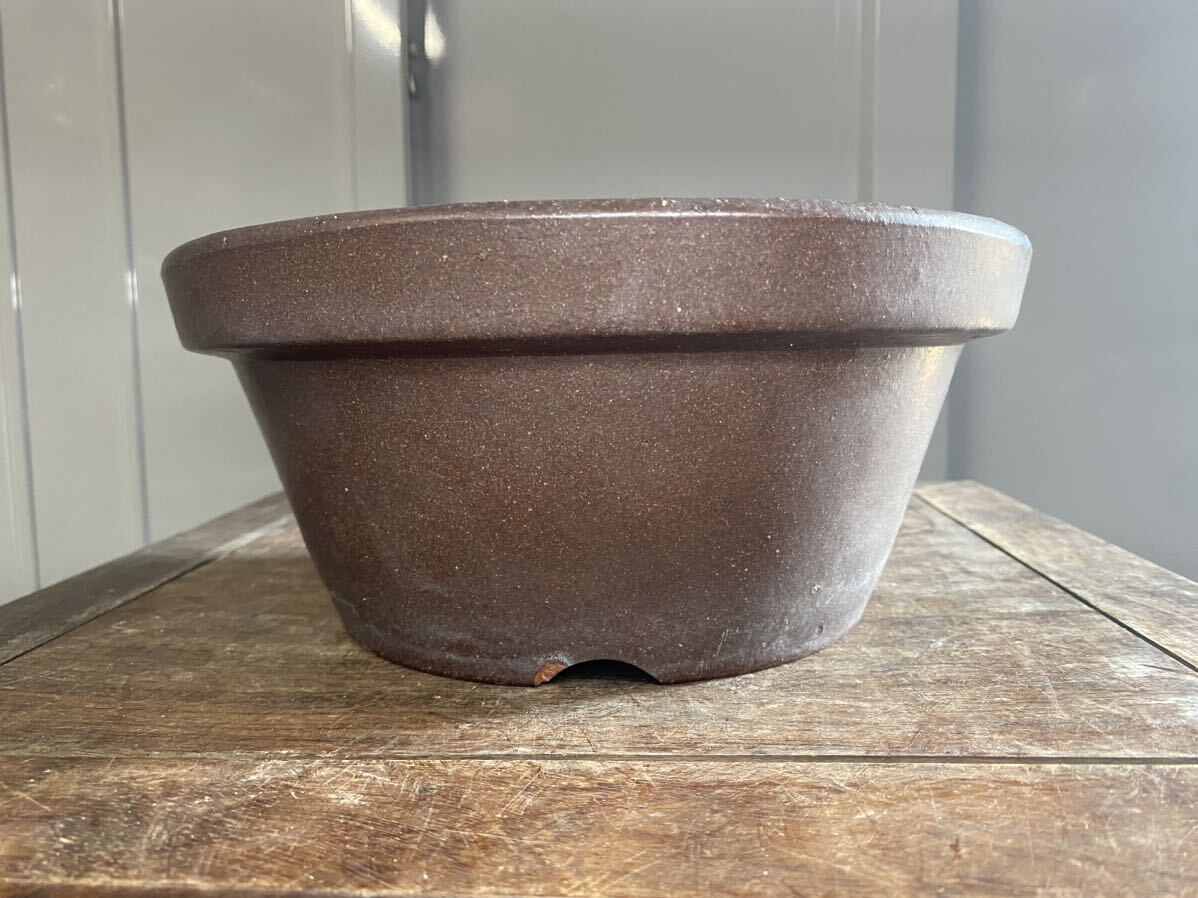 植木鉢　素焼き　8号　茶色　多肉植物　山野草　草花　観葉植物　花　松盆栽　盆栽　ガーデニング　園芸　雑木　果樹　柑橘　鉢　盆栽鉢
