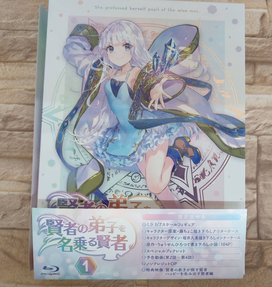 賢者の弟子を名乗る賢者 第1巻(完全数量限定版)(Blu-ray 賢者の弟子を名乗る賢者 第1巻(完全数量限定版)(Blu-ray