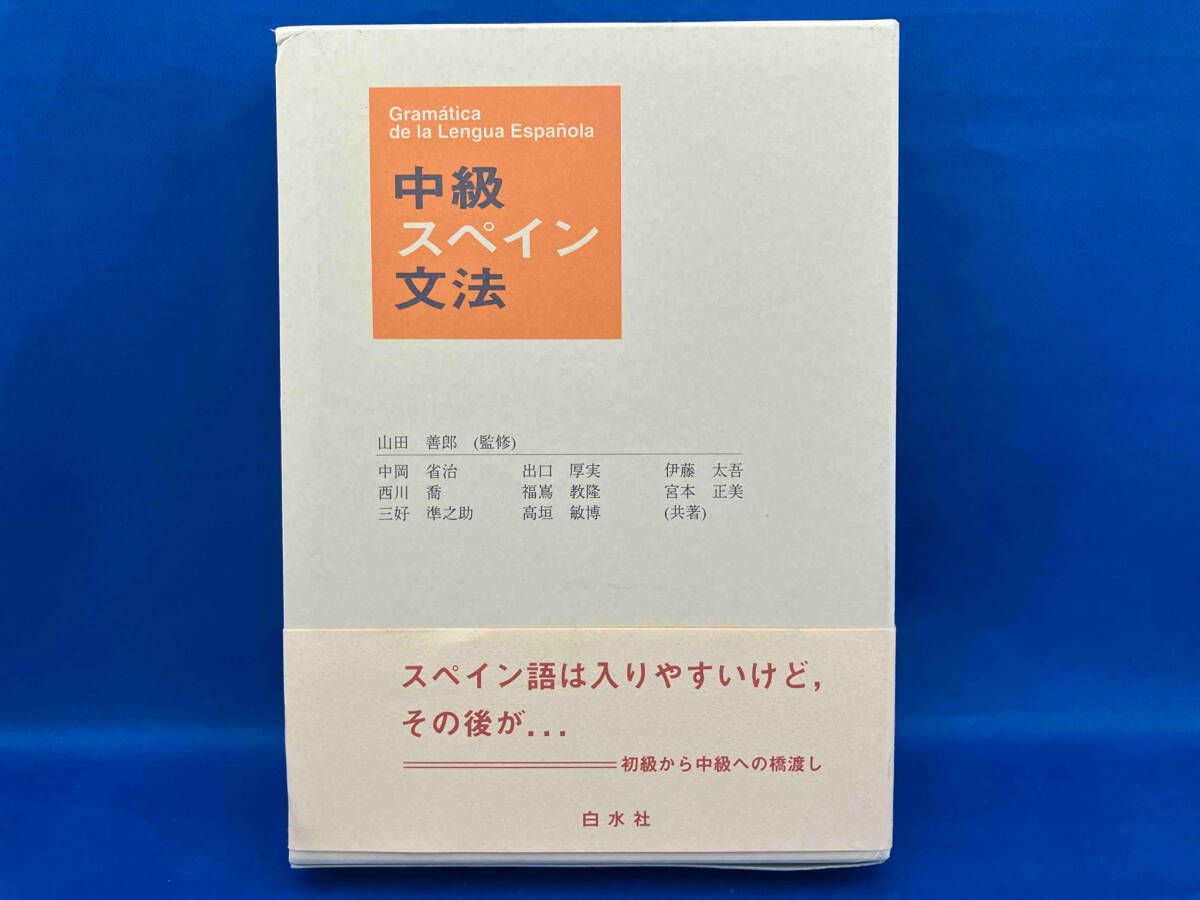 中級スペイン文法 中岡省治