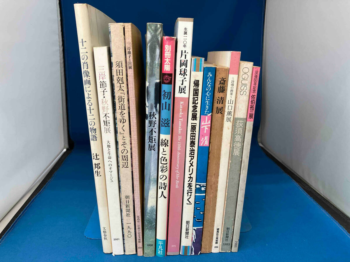 日本人画家 洋画家 画集 図録 いろいろ おまとめ13冊セット 佐伯祐三 斎藤清 秋野不矩 片岡球子 他