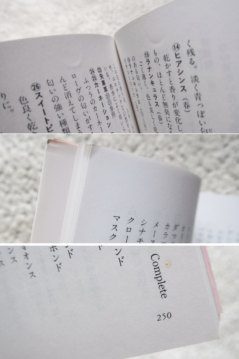 сон. страна. ароматическая смесь ( Kadokawa Bunko ) медведь . Akira .