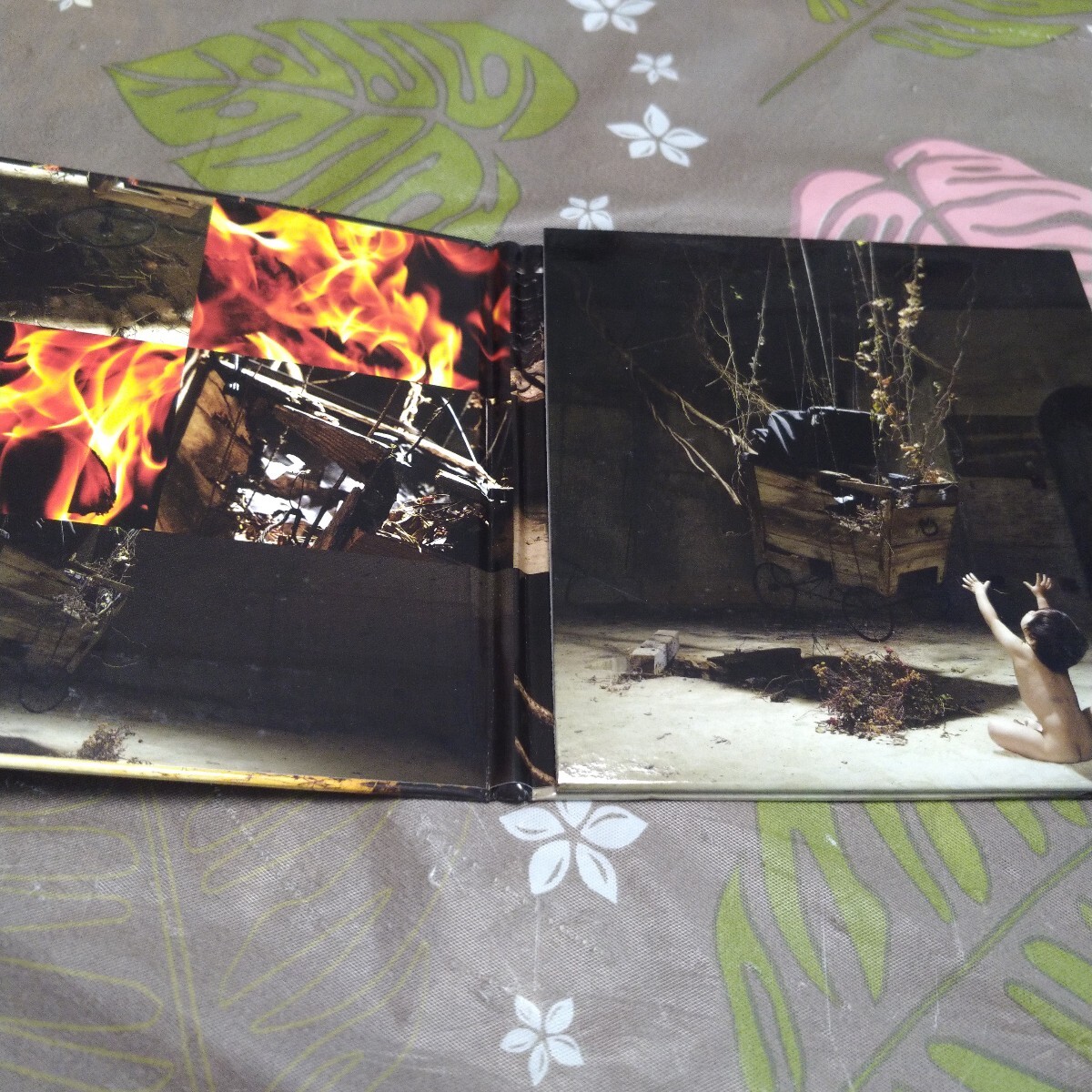 V系 ガゼット 紅蓮 初回限定dvd付き the GazettE ルキ レイタ V系 ガゼット 紅蓮 初回限定dvd付き the GazettE ルキ レイタ