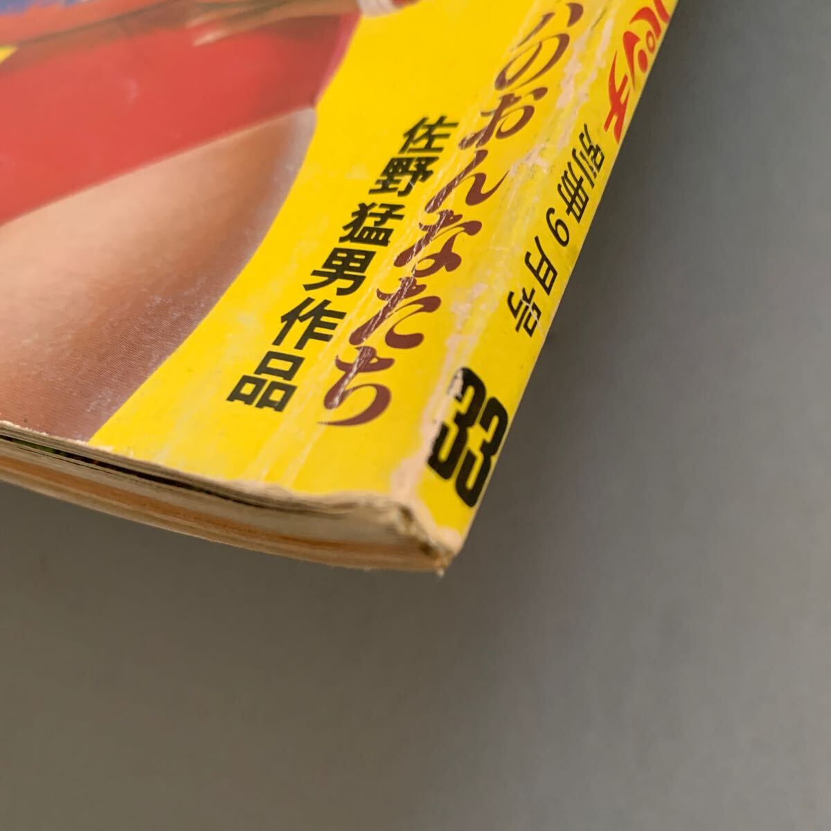 平凡パンチ 別冊 昭和52年9月盛夏号 表紙 浅野ゆう子 撮影 橋本 平凡パンチ 別冊 昭和52年9月盛夏号 表紙 浅野ゆう子 撮影 橋本