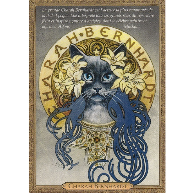 seb Lee n кошка Франция производства открытка seb Lee n* Pinot - длинный волосы -. кошка .. кошка кошка открытка с видом смешанные товары мелкие вещи patamin