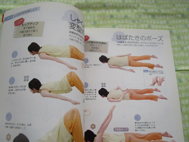 D9 TJMOOK [ глубокий . подлинный . прекрасный. DVD.lak..! лежать на полу йога ] глубокий . подлинный . прекрасный | работа "Остров сокровищ" фирма выпуск дополнение DVD есть 