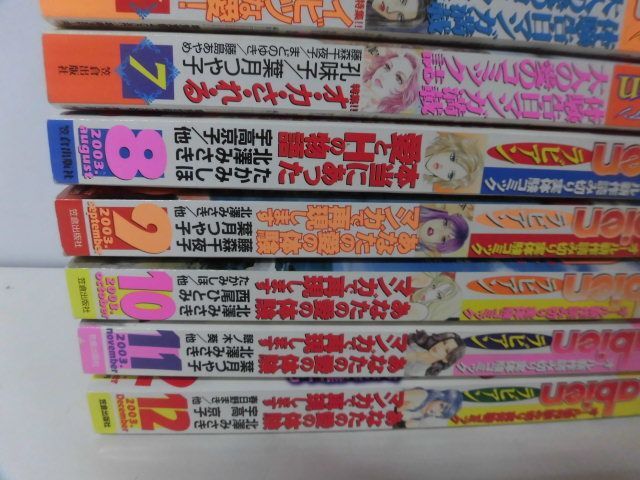 Labienn(ラビアン)　2003年1月〜12月号の1年分12冊セット　レディースコミック誌