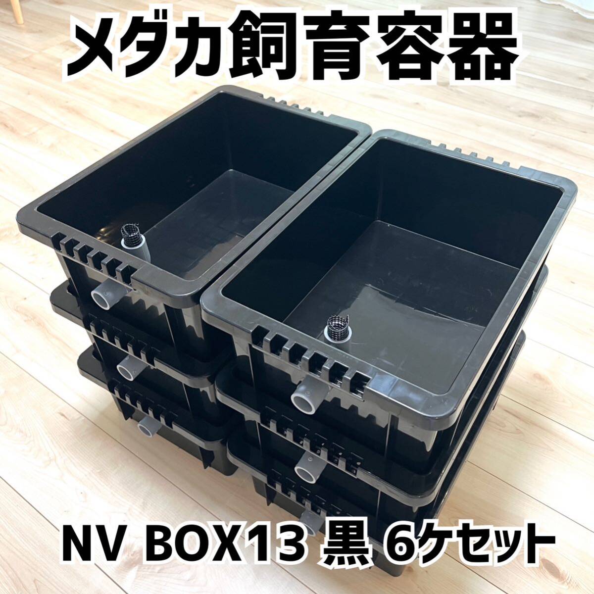 メダカ飼育容器 NVボックス13L 6個セット オーバーフロー加工済 メダカ飼育容器 NVボックス13L 6個セット オーバーフロー加工済