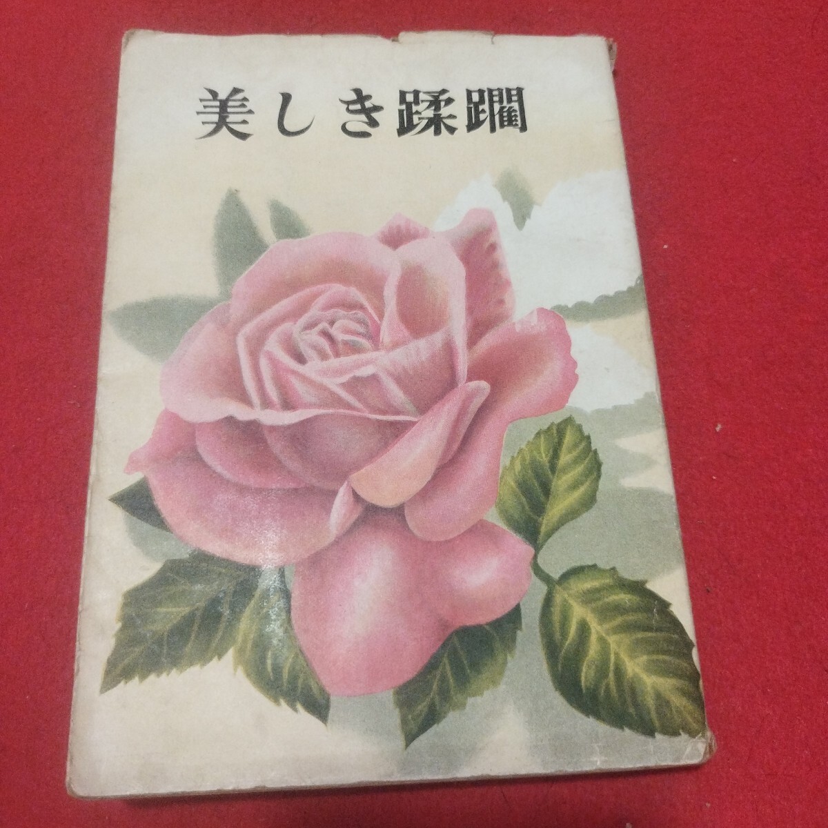 美しき蹂躙 地下本 艶本春本エロス官能小説春画枕絵エログロエロ 美しき蹂躙 地下本 艶本春本エロス官能小説春画枕絵エログロエロ