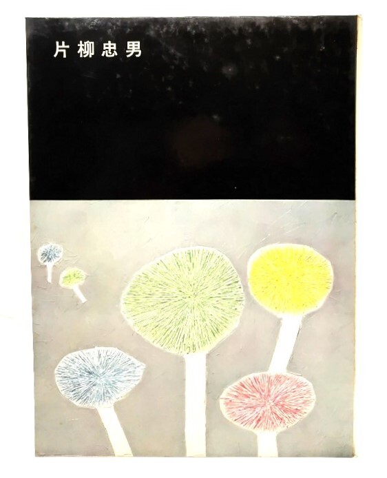 画集 片柳忠男/三彩社