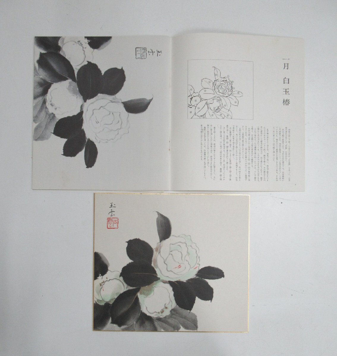 G801◇昭和54年 山田玉雲 色紙 水墨画 花の十二ヶ月 5月欠品 G801◇昭和54年 山田玉雲 色紙 水墨画 花の十二ヶ月 5月欠品