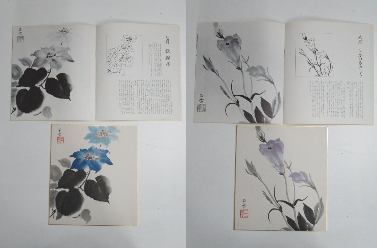 G801◇昭和54年 山田玉雲 色紙 水墨画 花の十二ヶ月 5月欠品 G801◇昭和54年 山田玉雲 色紙 水墨画 花の十二ヶ月 5月欠品