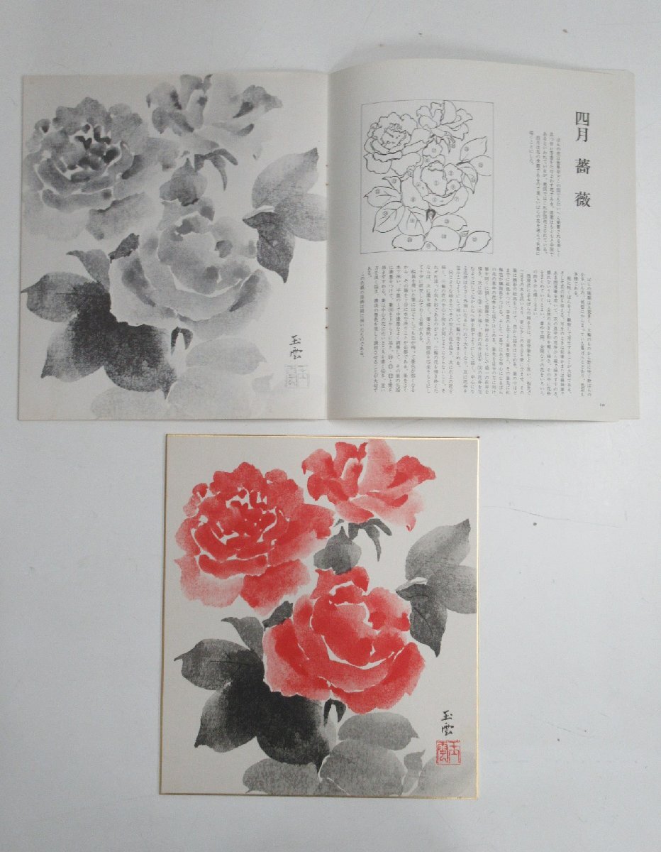 G801◇昭和54年 山田玉雲 色紙 水墨画 花の十二ヶ月 5月欠品 G801◇昭和54年 山田玉雲 色紙 水墨画 花の十二ヶ月 5月欠品