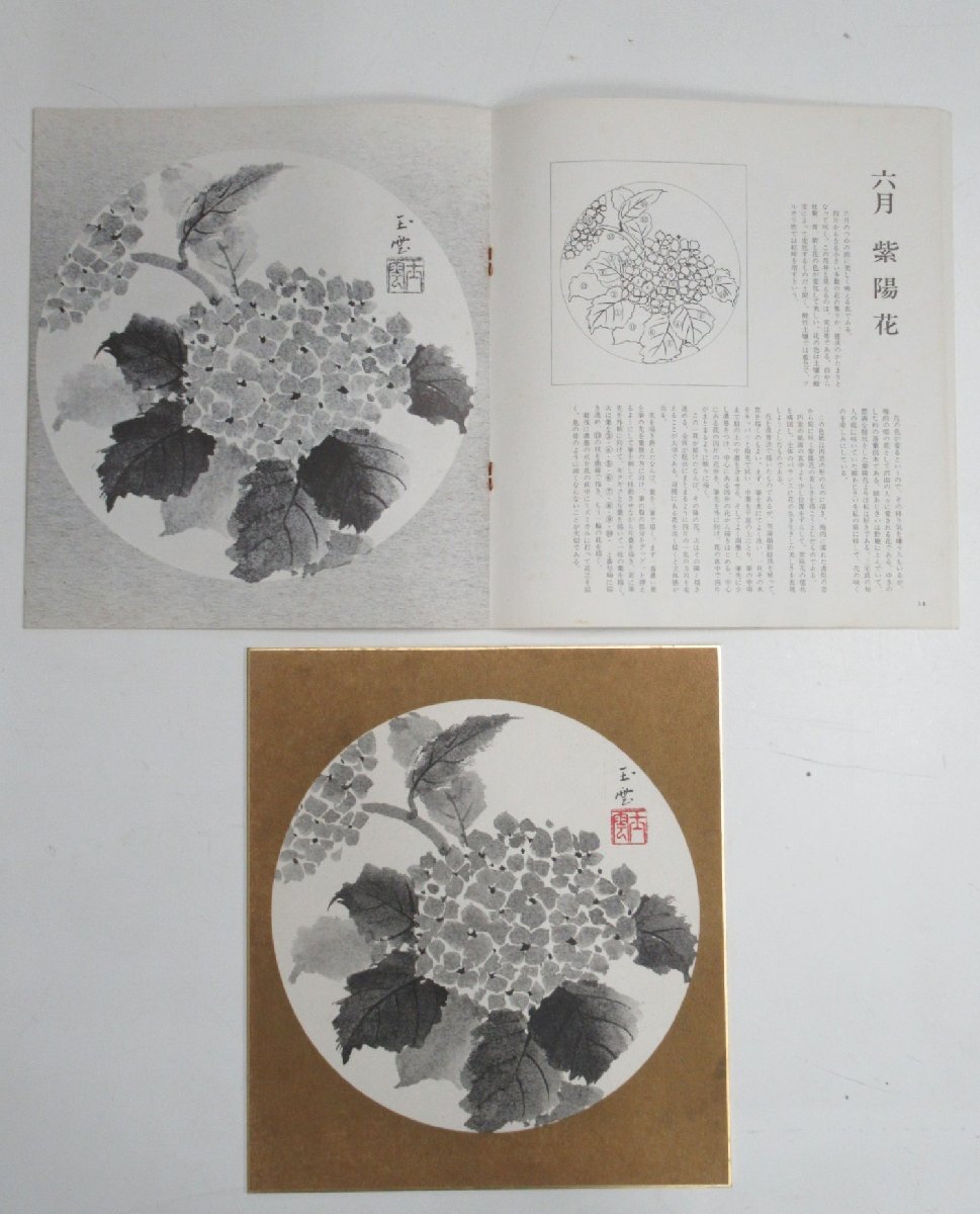 G801◇昭和54年 山田玉雲 色紙 水墨画 花の十二ヶ月 5月欠品 G801◇昭和54年 山田玉雲 色紙 水墨画 花の十二ヶ月 5月欠品