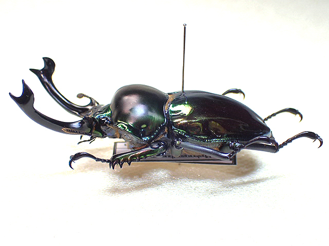 item_image_3