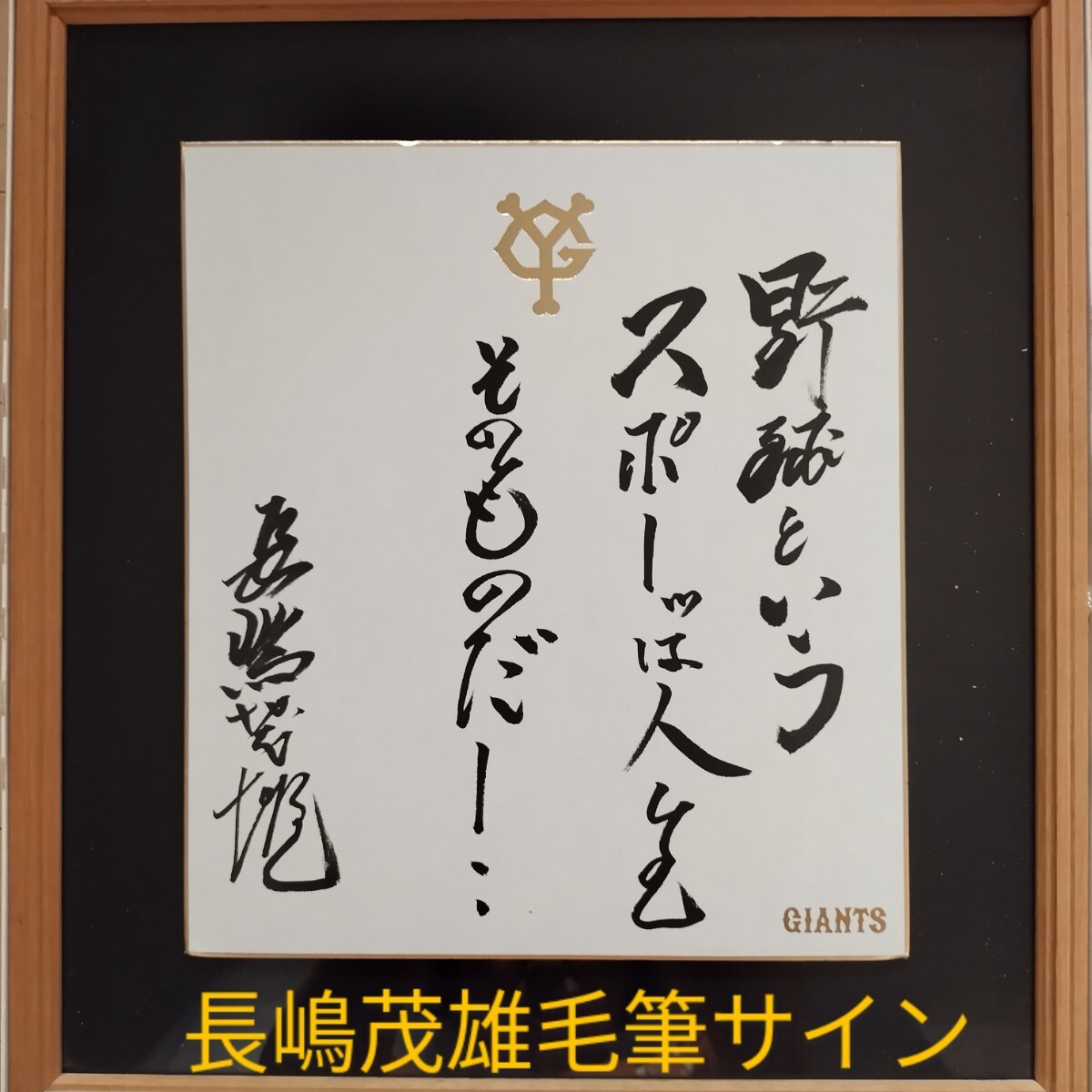 非売品 昭和レトロ球 投げ入れ 投げ込み 長嶋茂雄 直筆サイン 非売品 昭和レトロ球 投げ入れ 投げ込み 長嶋茂雄 直筆サイン