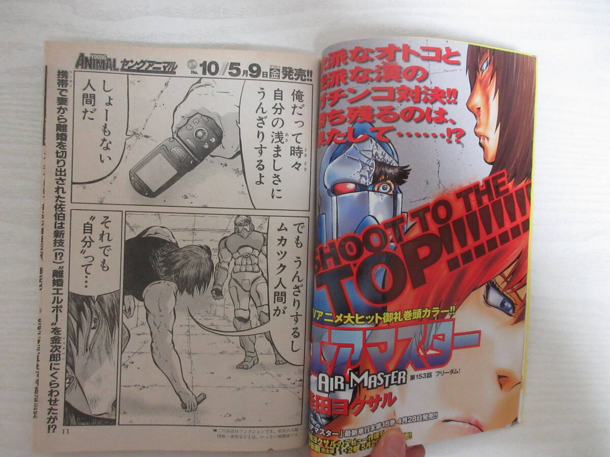J1857 YOUNG ANIMAL ヤングアニマル 2003 緑川のりこ/水着 J1857 YOUNG ANIMAL ヤングアニマル 2003 緑川のりこ/水着