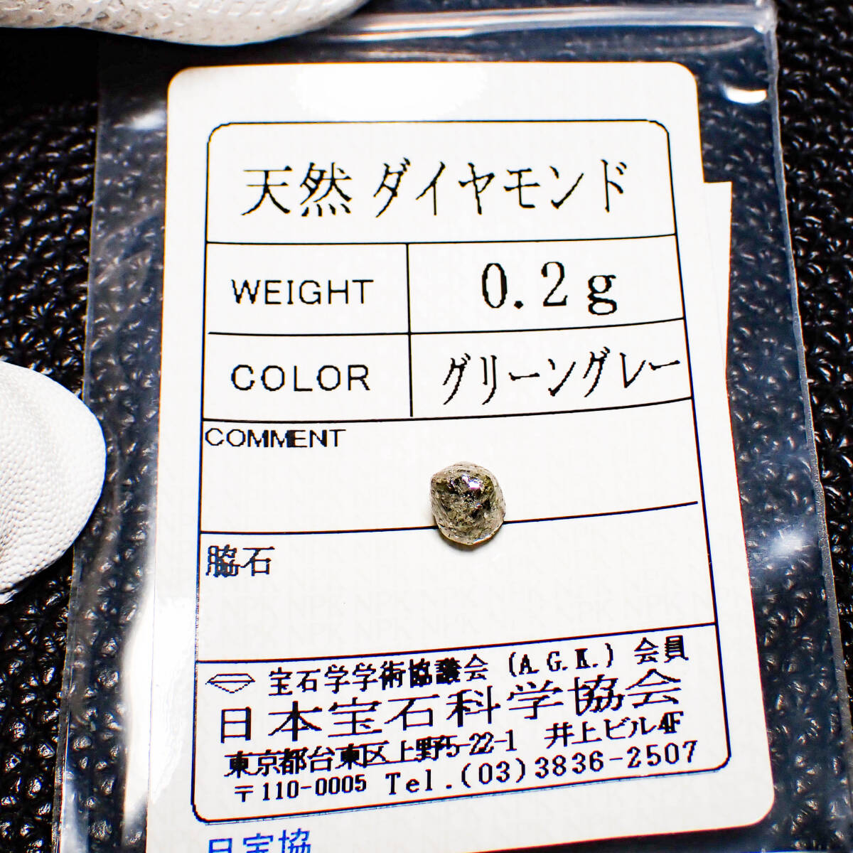 高千穂天岩戸水晶 原石(AA) 13.8g 【榎本通商35685】 生易しい 高千穂天岩戸水晶 原石(AA) 13.8g 【榎本通商35685】 生易しい