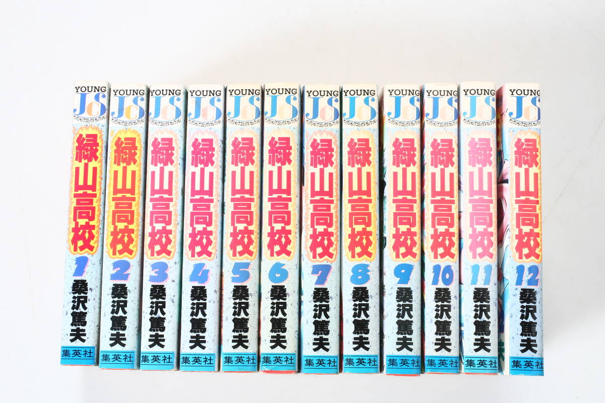 緑山高校 全12巻 桑沢篤夫 ヤングジャンプコミックス 緑山高校 全12巻 桑沢篤夫 ヤングジャンプコミックス