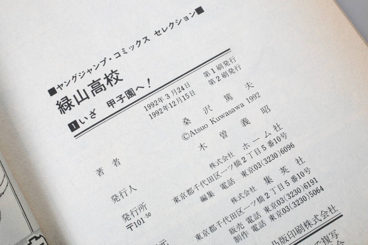 緑山高校 全12巻 桑沢篤夫 ヤングジャンプコミックス 緑山高校 全12巻 桑沢篤夫 ヤングジャンプコミックス