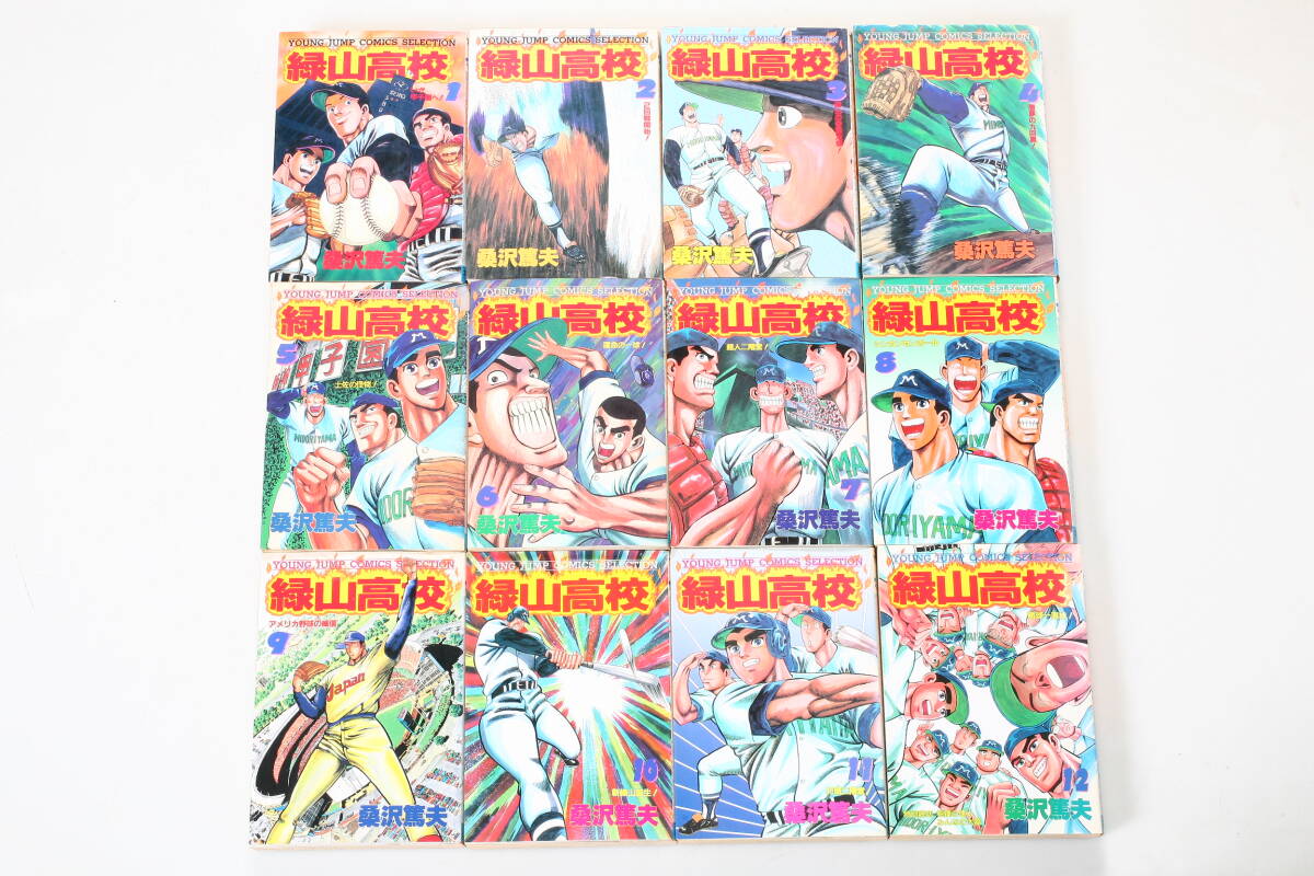 緑山高校 全12巻 桑沢篤夫 ヤングジャンプコミックス 緑山高校 全12巻 桑沢篤夫 ヤングジャンプコミックス