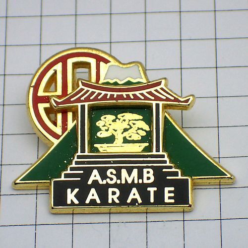 ピンバッジ・空手クラブ盆栽と富士山 ASMB KARATE FUJISAN BONSAI◆フランス限定ピンズ◆レアなヴィンテージものピンバッチ