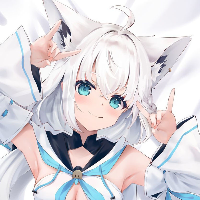 正規品・未開封】バーチャルYoutuber ホロライブ 白上フブキ抱き 正規品・未開封】バーチャルYoutuber ホロライブ 白上フブキ抱き